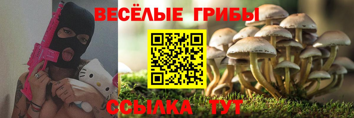 ГАШИШ  LSD-25  Меф кристаллы  COCAIN  MDMA  Вход с VPN  Фурманов  ГАШ 